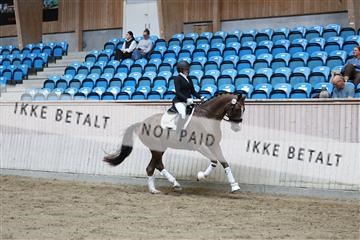181887_mtp_02_R62_7813.JPG