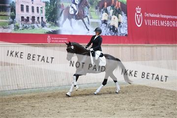 181887_mtp_04_R62_9226.JPG