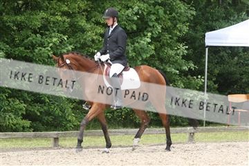 135518_ms_01_IMG_1464.JPG