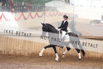 170266_mtp_01_3M5A0453.JPG