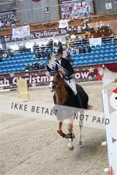 175934_avh_01_6445.JPG