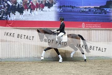 181887_mtp_05_R62_9379.JPG