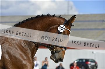 136195_abo_01__AB16563.JPG