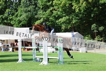 181805_mlm_02_R62_6432.JPG