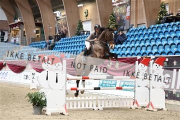 175934_avh_01_5950.JPG