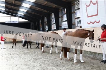 181757_avh_01_6441.JPG