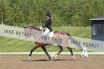 147698_nn_01_IMG_0181.JPG