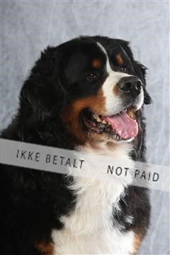 129608_le_ 02_0202.JPG