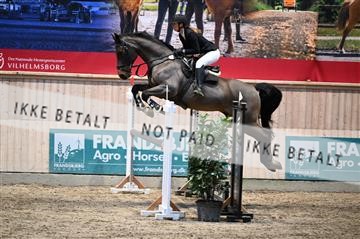 173784_kuo_01_Z09_6034.JPG