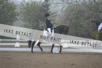 155778_ms_01__MS14430.JPG