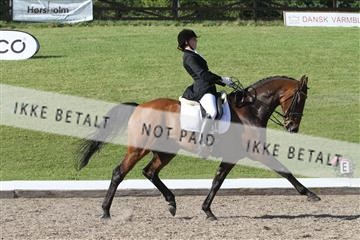 135676_sg_03_IMG_0049.JPG