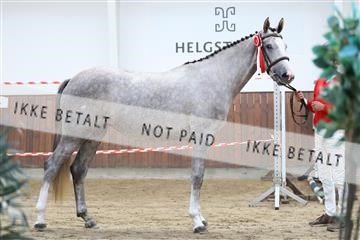 181755_tbj_01R62_2275.JPG