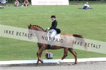 135676_sg_01_IMG_8027.JPG