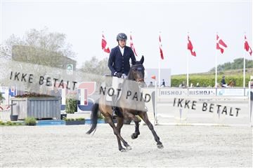 181332_kbb_02_6II5730.JPG