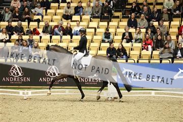 178838_mtp_04_0E6A4307.JPG