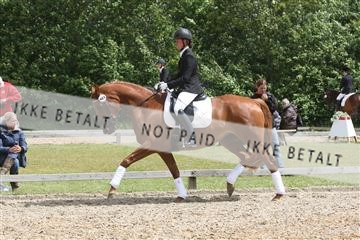 135518_ms_01_IMG_1737.JPG