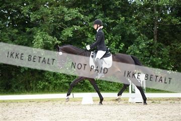 162958_mep_01_DSC_6602.JPG