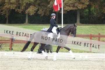181923_mtp_04_R62_8987.JPG
