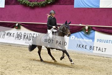 161006_abo_01__D050878.JPG
