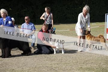 181848_kar_01__62_2667.JPG