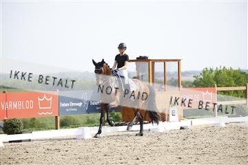 181449_kbb_02_6II1325.JPG
