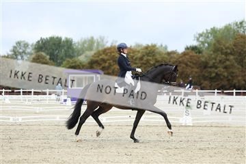 181923_mtp_04_R62_8606.JPG