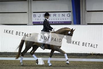 141472_abo_01__AB15829.JPG