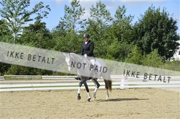 136195_abo_01__AB15935.JPG