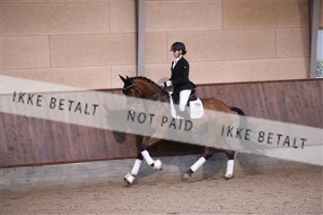 173821_mtp_01_3M5A8523.JPG