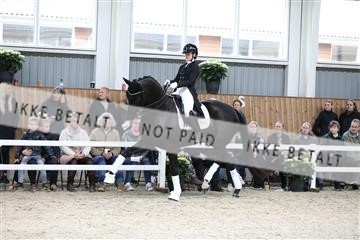 179088_mtp_01_3M5A3741.JPG