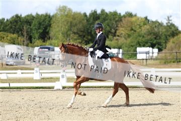 181894_mtp_05_R62_4540.JPG