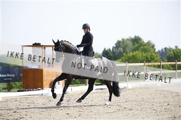 181449_kbb_02_6II1188.JPG