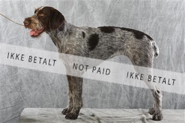 129608_le_ 02_0244.JPG