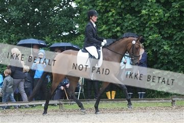 135518_ms_01_IMG_0723.JPG