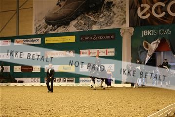 126407_abo_16_IMG_0249.JPG
