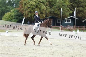 181923_mtp_02_R62_7044.JPG