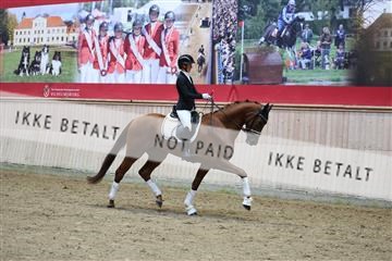 181887_mtp_05_R62_9734.JPG