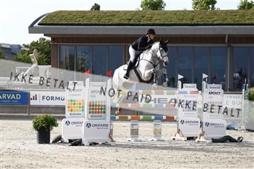 181922_avh_04_2181.JPG