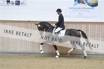 160111_nn_01__ESK1875.JPG