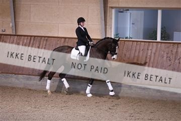 173821_mtp_01_3M5A8373.JPG