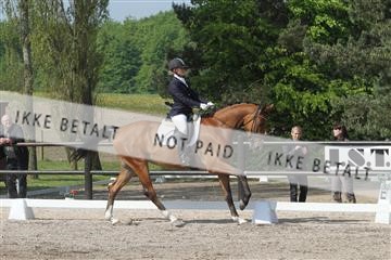 135086_sg_01_IMG_0014.JPG