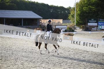 181855_jss_03__6II0192.JPG