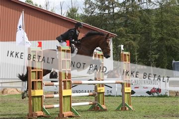 5925_ma_05_IMG_0865.JPG