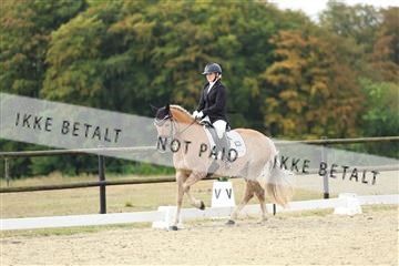 181894_mtp_04_R62_3698.JPG