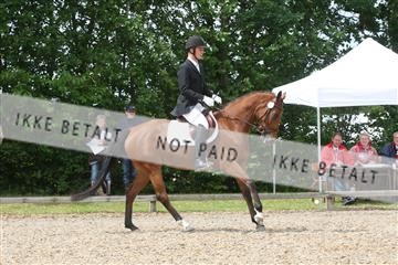 135518_ms_01_IMG_1492.JPG