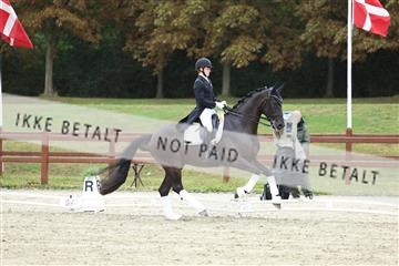 181923_mtp_04_R62_9006.JPG