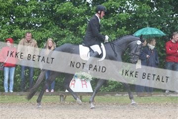 135518_ms_01_IMG_1114.JPG
