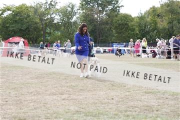 181848_kar_01__62_1222.JPG
