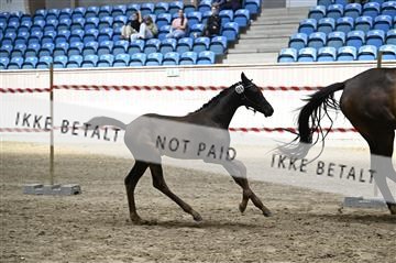 181754_kbb_01_Z093914.JPG