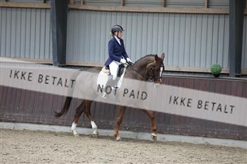 171210_mtp_01_3M5A6285.JPG